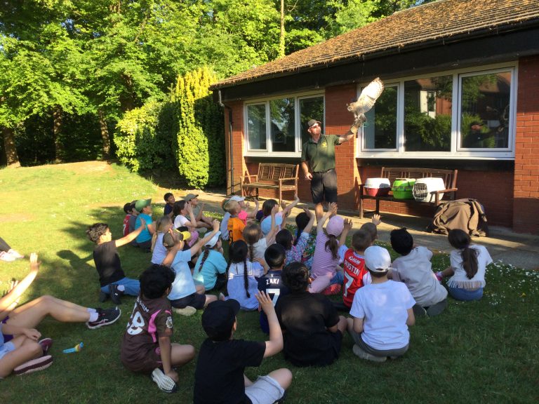 A Night to Remember: Adventure-Filled Sleepover at Prep!