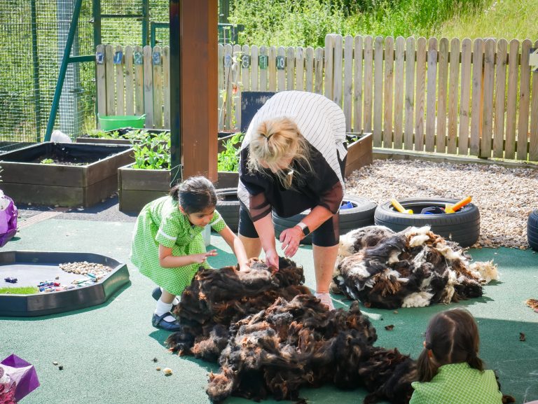 Prep R learn to roll sheep fleeces!